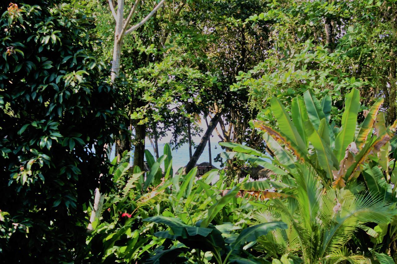 Casa Natural Puerto Viejo Hotell Puerto Viejo de Talamanca Eksteriør bilde
